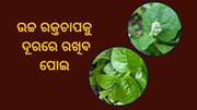ଶାଗ ଏକ ଗୁଣ ଅନେକ  ଶାଗ ଏକ ଗୁଣ ଅନେକ