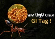 କାଇ ଚଟଣିକୁ ମିଳିବ GI Tag ମାନ୍ୟତା !