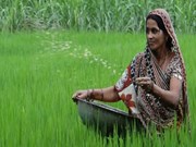 ମହିଳା ଚାଷୀ ଗଠନ କରିଛନ୍ତି FPO, ମିଳିୁଛି ପ୍ରଚୁର ଲାଭ 