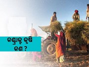 କଣ୍ଟ୍ରାକ୍ଟ କୃଷି କଣ ? ଚାଷୀଙ୍କ ରୋଜଗାରର ହେବ ବଡ ବିକଳ୍ପ