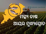 ICAR ରିପୋର୍ଟ: ଚାଷୀଙ୍କ ଆୟରେ 125-272% ବୃଦ୍ଧି