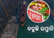 Agricultural Exports: 14% ବଢିଲା କୃଷି ଉତ୍ପାଦ ରପ୍ତାନି