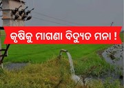 ଓଡିଶାର କୃଷି କ୍ଷେତ୍ରକୁ ଦିଆଯିବନି ମାଗଣା ବିଦ୍ୟୁତ, ବିଧାନସଭାରେ ଉତ୍ତର ରଖିଲେ ମନ୍ତ୍ରୀ