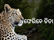  ପୁଣି ଫେରିବେ ଚିତା, ଭାରତ-ନମ୍ବିଆ ମଧ୍ୟରେ ହେଲା ଚୁକ୍ତି