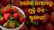 ଉଚ୍ଚ ରକ୍ତ ଚାପ ସମସ୍ୟାରୁ ମୁକ୍ତି ଦେବ ଷ୍ଟ୍ରବେରୀ ଉଚ୍ଚ ରକ୍ତ ଚାପ ସମସ୍ୟାରୁ ମୁକ୍ତି ଦେବ ଷ୍ଟ୍ରବେରୀ