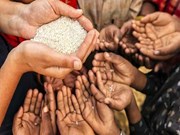 ଖାଦ୍ୟ ସୁରକ୍ଷାକୁ ନେଇ ଉଠାଯିବ ବଡ ପଦକ୍ଷେପ, ହାତ ମିଳାଇବେ ସମସ୍ତ ଦେଶ