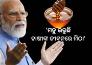 Mann Ki Baat: ମହୁ ଚାଷ ବିଷୟରେ କଣ କହିଲେ ମୋଦି ? ପଢନ୍ତୁ...