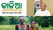kalia yojana:ନୂଆଁଖାଇ ଦିନ ମିଳିବ କାଳିଆ ସହାୟତା!