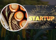 'Millet Challenge' for startups: ଷ୍ଟାର୍ଟଅପ କମ୍ପାନୀ ପାଇଁ ମିଲେଟ ଚ୍ୟାଲେଞ୍ଜ ଘୋଷଣା 