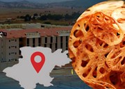 ଅନ୍ତରାଷ୍ଟ୍ରୀୟ ସ୍ତରରେ ପହଞ୍ଚାଇବ କୋରାପୁଟ ସୁପର ଫୁଡ ! କେନ୍ଦ୍ରୀୟ ବିଶ୍ୱବିଦ୍ୟାଳୟକୁ କେନ୍ଦ୍ରମନ୍ତ୍ରୀଙ୍କ ଆହ୍ବାନ