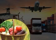 ଜାତୀୟ ଲଜିଷ୍ଟିକ ନୀତିକୁ କ୍ୟାବିନେଟର ଅନୁମୋଦନ, ଚାଷୀଙ୍କୁ ମିଲିବ ବଡ ସୁବିଧା