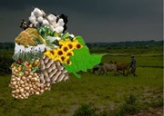 କୃଷିରେ ଦ୍ୱିଗୁଣ ଅଭିବୃଦ୍ଧି ସହ ଶୀର୍ଷରେ ଏହି ରାଜ୍ୟ