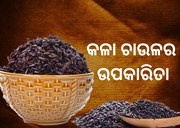 ମଧୁମେହ ରୋଗୀଙ୍କ ପାଇଁ କେତେ ଲାଭ ଦାୟକ କଳା ଚାଉଳ, ଜାଣନ୍ତୁ