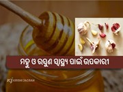 ଖାଆନ୍ତୁ ମହୁ ଓ ରସୁଣ ; ମିଳିବ ଚମତ୍କାରୀ ଲାଭ