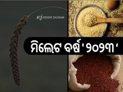 ୨୦୨୩ କୁ ବିଶ୍ୱ ପାଳିବ ମିଲେଟ ବର୍ଷ