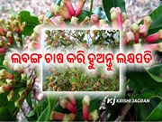 କୃଷକମାନେ ଏହି ଗଛ ଚାଷ କରିବା ଜରୁରୀ