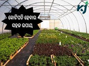 ଗ୍ରୀନହାଉସରେ ଚାଷ ବିଷୟରେ ଜାଣିଛନ୍ତି କି?