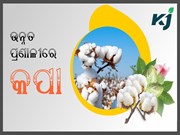 ଉନ୍ନତ ପ୍ରଣାଳୀରେ କପା ଚାଷ, କମ ଖର୍ଚ୍ଚରେ ଅଧିକ ଲାଭ