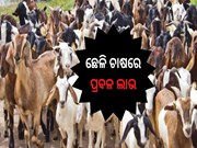 ଲାଭ ଆପଣଙ୍କର ପଇସା ସରକାରଙ୍କ 