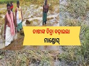 ଚାଷୀଙ୍କ ଚିନ୍ତା ବଢ଼ାଇଲା ବାତ୍ୟା ମାଣ୍ଡୋସ୍‌