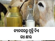 କ୍ୟାନ୍ସର ରୋକିବ ଗଧ କ୍ଷୀର