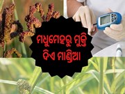 ସୁପର ଶକ୍ତିର ଉତ୍ସ ମାଣ୍ଡିଆ,ଦୂର କରେ ଏହି ବଡ ବଡ ରୋଗ