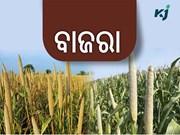 ପୋଷାକ ତତ୍ତ୍ୱ ରେ ଭରପୁର "ବାଜରା"