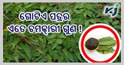 ଥଣ୍ଡାଠୁ ଆରମ୍ଭ କରି ଅଣ୍ଟା ବିନ୍ଧା ପର୍ଯ୍ୟନ୍ତ ସବୁ ସମସ୍ୟା ଦୂର କରିଦେବ ପସାରୁଣୀ ପତ୍ର....