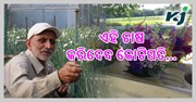 ଫୁଲ ଚାଷ କରି କିପରି ହୋଇପାରିବେ ଲାଭବାନ ?