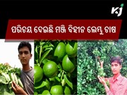 ଲେମ୍ବୁ ଚାଷ କରି ''ରାଷ୍ଟ୍ରୀୟ ଉଦ୍ୟାନ ପୁରାସ୍କାର ''