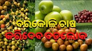 ବରକୋଳି ଚାଷ କରି ରୋଜଗାର କରନ୍ତୁ ଲକ୍ଷ ଲକ୍ଷ ଟଙ୍କା...