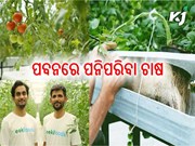 ପବନରେ ପନିପରିବା ଚାଷ, ଖର୍ଚ୍ଚ କମ୍ ପ୍ରଚୁର ଲାଭ