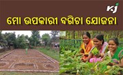 ମହିଳାଙ୍କୁ ଭରସା  ଓଡିଶା ସରକାରଙ୍କ  " ମୋ ଉପକାରୀ ବଗିଚା ଯୋଜନା "