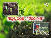 ଜୈବିକ ଚାଷ ପ୍ରତି ବଢୁଛି ଲୋକଙ୍କ ଆଗ୍ରହ,କମାଉଛନ୍ତି ଲକ୍ଷ ଲକ୍ଷ ଟଙ୍କା