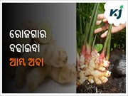 ଏହି ଚାଷ ରୋଜଗାର ବଢାଇବା ସହିତ ଆପଣଙ୍କୁ ଲକ୍ଷପତି କରିବ