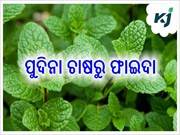 ଖରାଦିନେ ଏହି ଚାଷ ଦେବ ଲାଭ