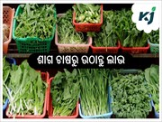 ଅର୍ଥକାରୀ ଫସଲ ଶାଗ ଚାଷରେ ସାର ପ୍ରୟୋଗ