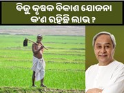 ଜାଣନ୍ତ, କିପରି ଉଠାଇବେ ବିଜୁ କୃଷକ ବିକାଶ ଯୋଜନାର ଲାଭ....