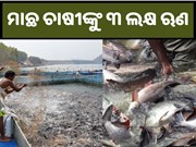 ମତ୍ସ୍ୟ ଚାଷୀଙ୍କୁ ମିଳୁଛି ସରକାରୀ ସହାୟତା, ନେଇ ପାରିବେ ୩ ଲକ୍ଷ ଟଙ୍କା ପର୍ଯ୍ୟନ୍ତ ଋଣ