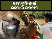 ଗାଈ ଓ ମଇଁଷିଙ୍କ କ୍ଷୀର ବୃଦ୍ଧି ପାଇଁ ଆପଣାନ୍ତୁ ଏହି ଘରୋଇ ଉପଚାର