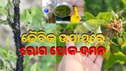 ଜୈବିକ ଉପାୟରେ କିପରି କରିବେ ଫସଲରୁ ରୋଗପୋକ ଦମନ.....