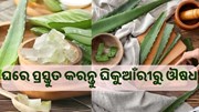 ଜାଣନ୍ତୁ,ଘିକୁଆଁରୀରୁ କିପରି ପ୍ରସ୍ତୁତ କରିବେ ଔଷଧ...