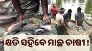 ମାଛ ଚାଷୀଙ୍କ ପାଇଁ ଗୁରୁତ୍ୱପୂର୍ଣ୍ଣ ସୂଚନା, ପଢ଼ନ୍ତୁ ପୂରା ଖବର... ମାଛ ଚାଷୀଙ୍କ ପାଇଁ ଗୁରୁତ୍ୱପୂର୍ଣ୍ଣ ସୂଚନା, ପଢ଼ନ୍ତୁ ପୂରା ଖବର...
