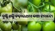 ବୟସ ହେବା ପୂର୍ବରୁ ଆଖିରେ ଲାଗି ଯାଉଛି କି ଚଷମା, ଖାଆନ୍ତୁ...... ବୟସ ହେବା ପୂର୍ବରୁ ଆଖିରେ ଲାଗି ଯାଉଛି କି ଚଷମା, ଖାଆନ୍ତୁ......