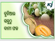 ଦୁନିଆର ସବୁଠୁ ଦାମୀ ଫଳ ,ଦାମ ଜାଣିଲେ ହେବନି ବିଶ୍ୱାସ 