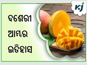 ଜାଣନ୍ତୁ ଦଶେରୀ ଆମ୍ବର ଇତିହାସ