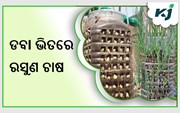 ବିନା ଜମିରେ କିପରି କରିବେ ଚାଷ ,ପଢନ୍ତୁ ପୁରା ଷ୍ଟୋରି 