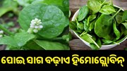 ହିମୋଗ୍ଲୋବିନ୍ ବଢ଼ାଏ ପୋଇ ସାଗ ! ହିମୋଗ୍ଲୋବିନ୍ ବଢ଼ାଏ ପୋଇ ସାଗ !