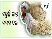 ବୃଦ୍ଧି ପାଉଛି ବଜାରରେ ଚାର୍ ମଗଜ ଦର