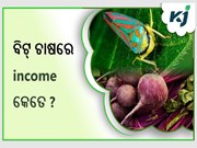  ବିଟରୁଟ୍ ଚାଷ କରି କେତେ କରିପାରିବେ income ?